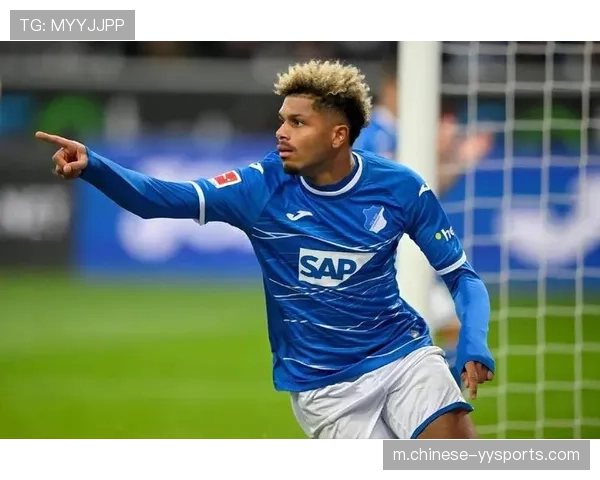 霍芬海姆与门兴对攻战平 德甲进球盛宴凸显战术开放